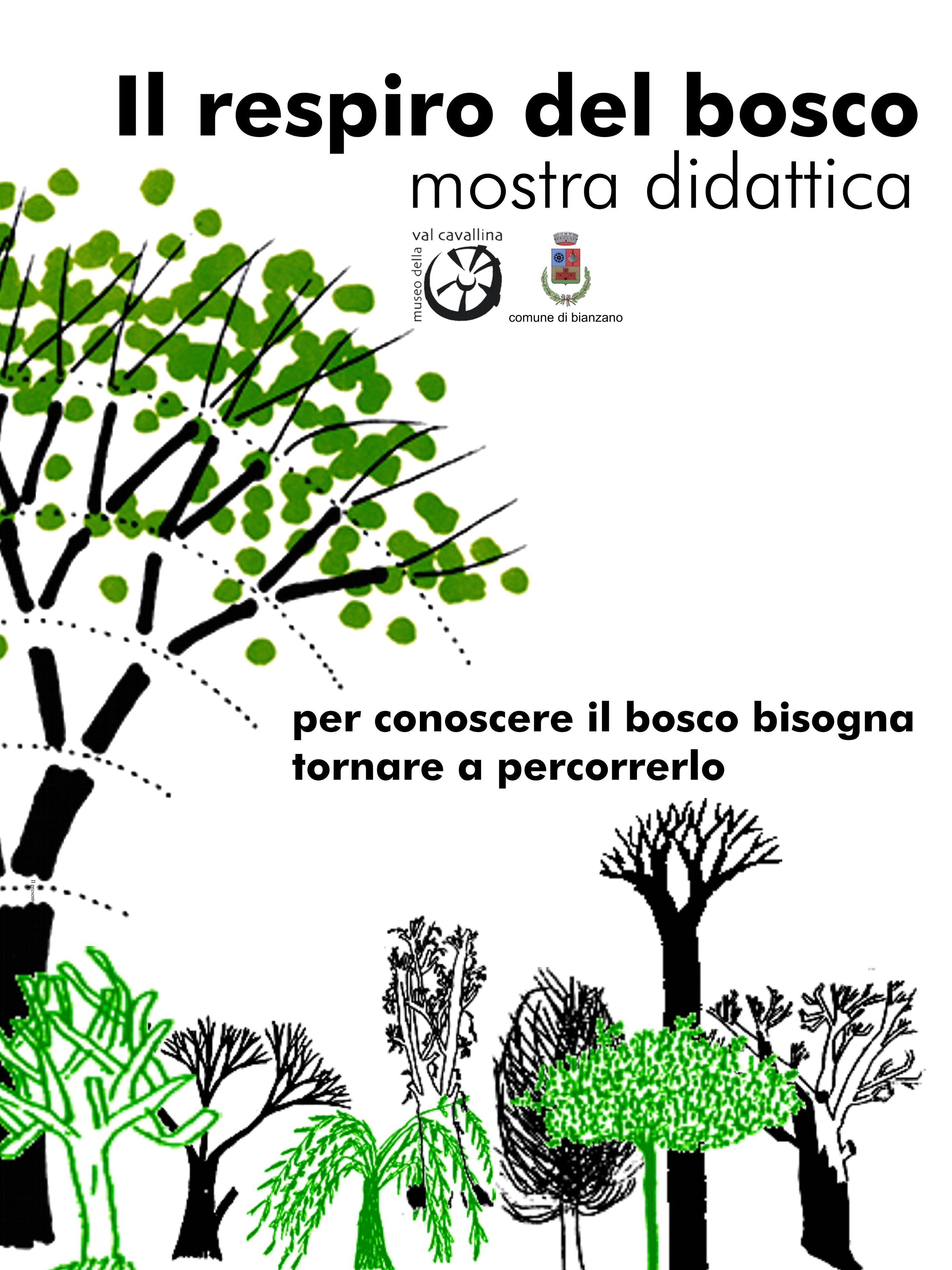 Il respiro del bosco. Mostra didattica