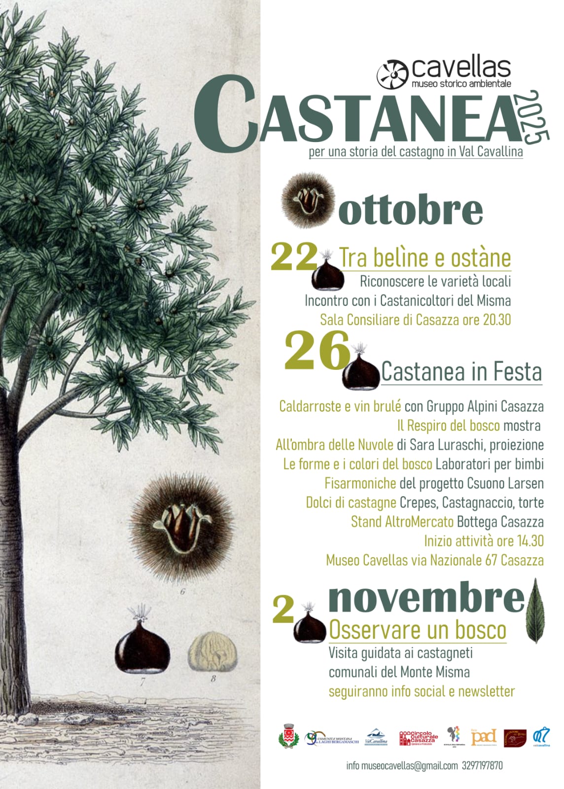 Castanea 2025: Tra belìne e ostàne